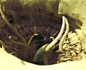 sarlacc